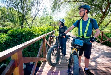 Tour di gruppo in e-bike sull'Antica Via Appia