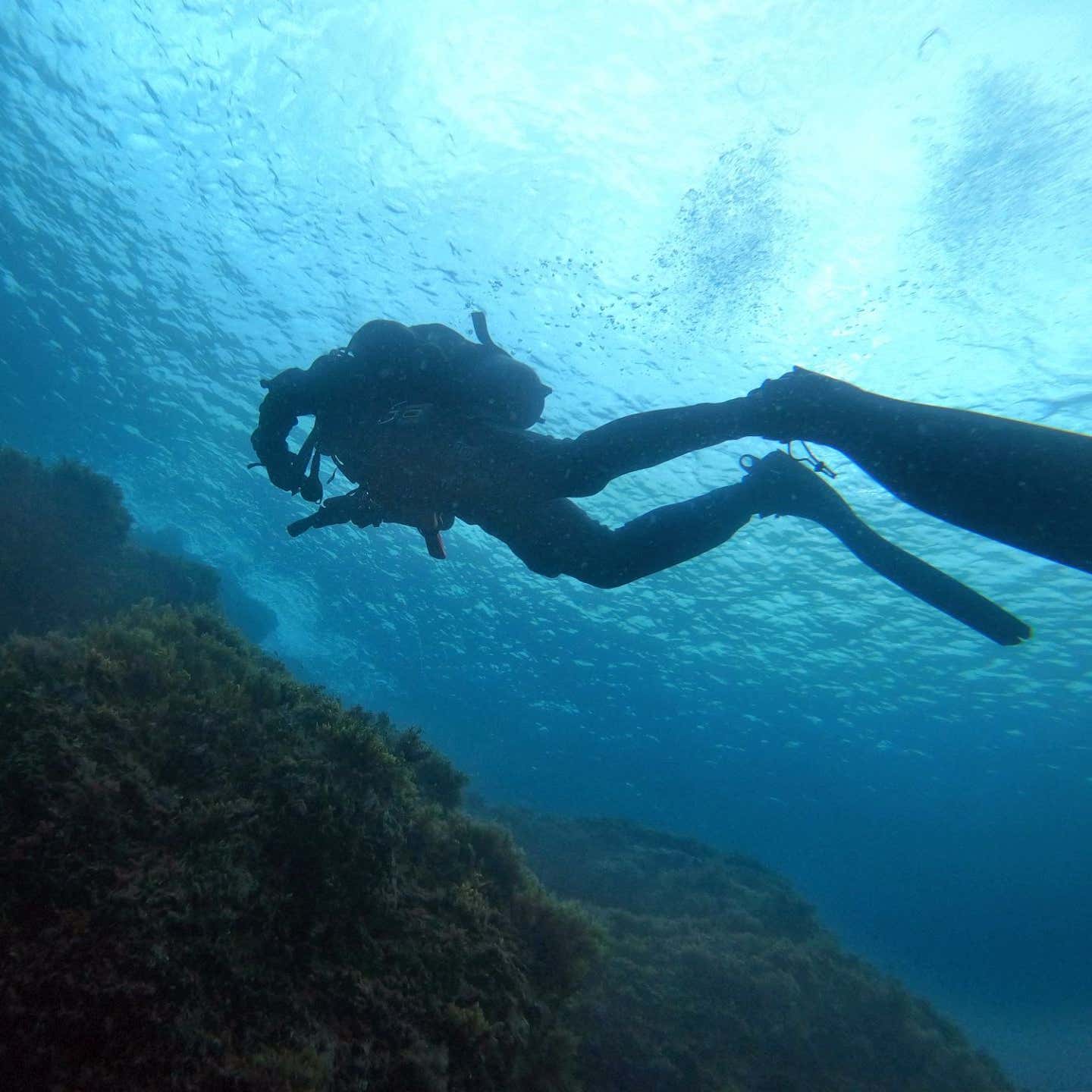 Battesimo Del Mare All Argentario Freedome