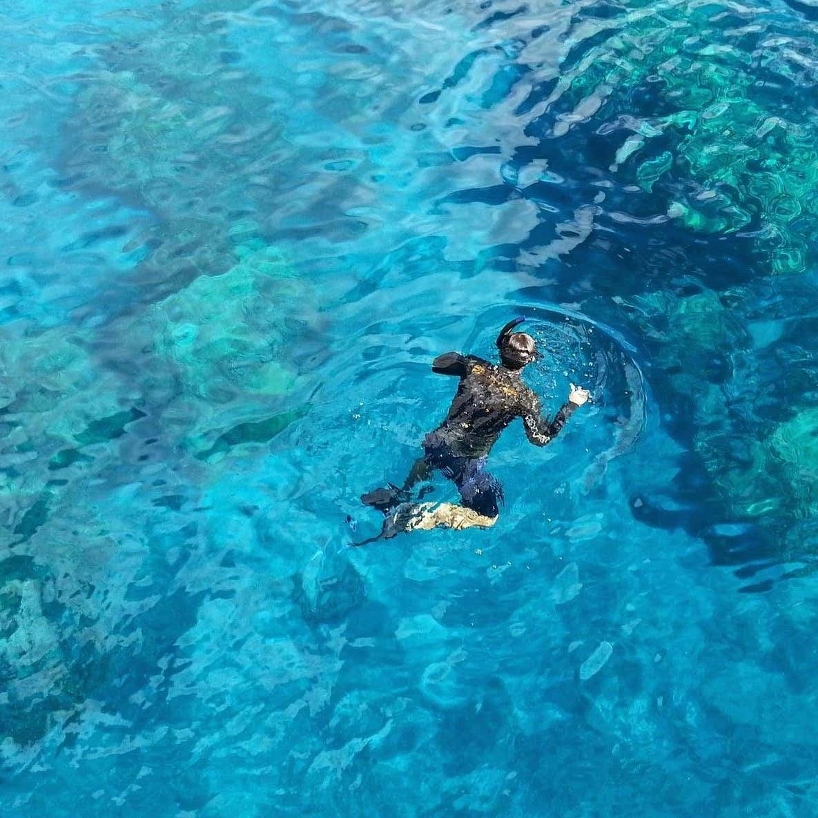 Snorkeling tour di mezza giornata all’Arcipelago della Maddalena Freedome