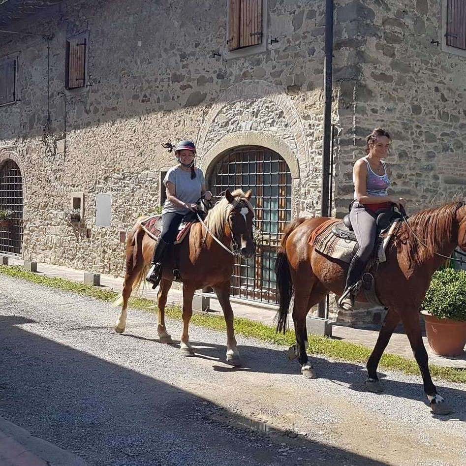 passeggiata-a-cavallo-sui-colli-di-firenze-degustazione-e-pranzo-in