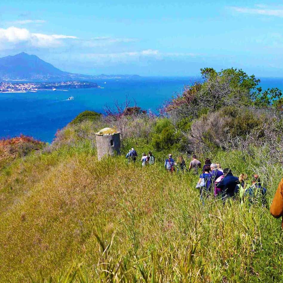 Trekking tour alle pendici di Capo Miseno nella penisola flegrea Freedome