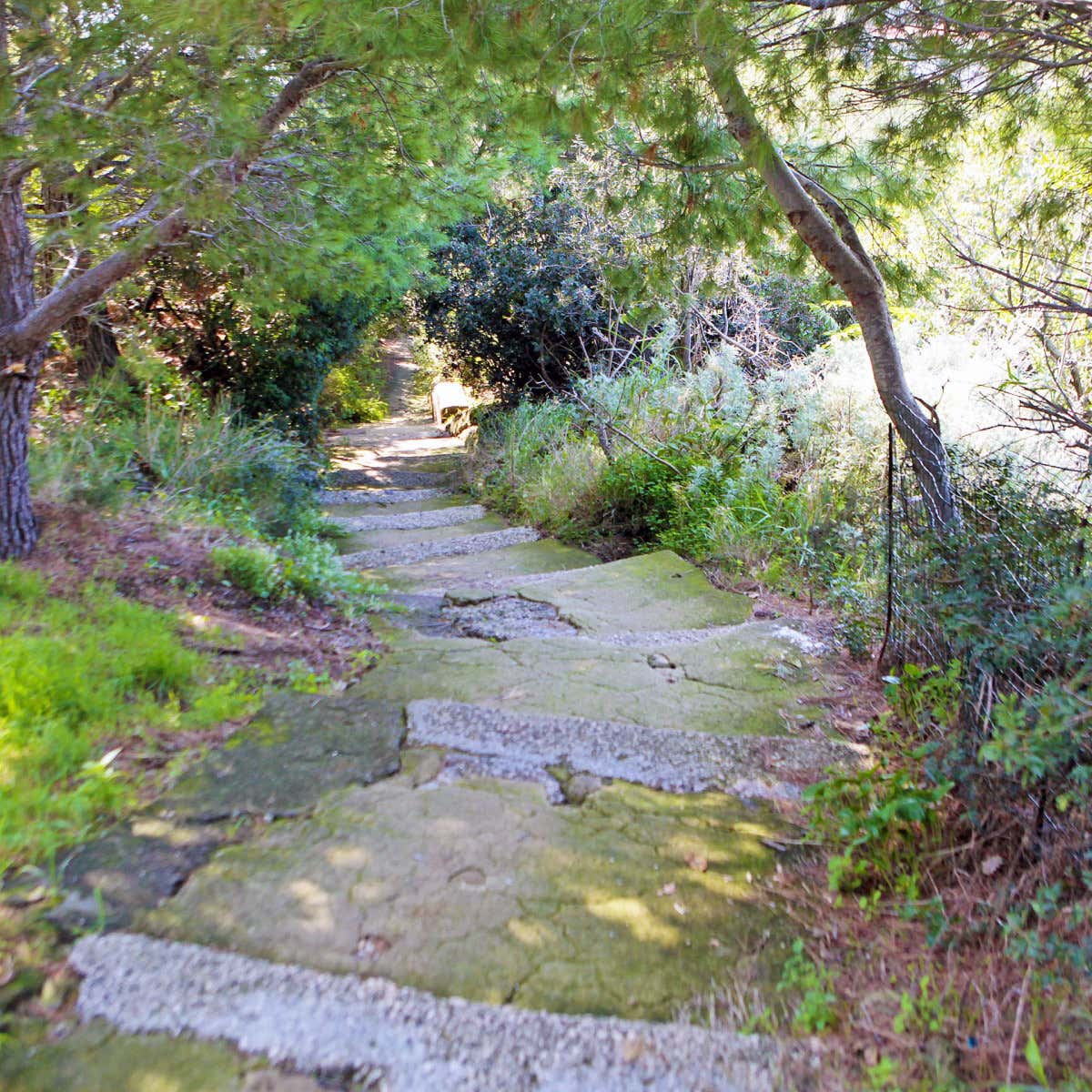 Trekking tour on the slopes of Cape Miseno in the Phlegrean Peninsula