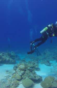 Immersioni subacquee a La Maddalena