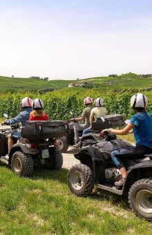 Wine tasting in Langhe