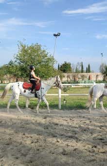 Lezioni di equitazione a Verona
