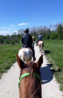 Horse Riding in Verona