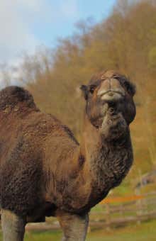 Fattoria didattica a Cuneo