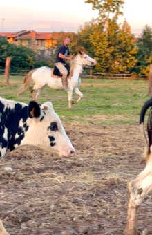 Arts and crafts in Bergamo