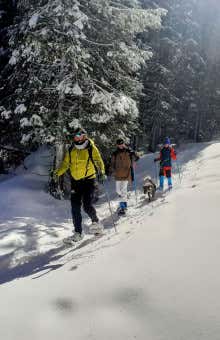 Ciaspolate a Folgaria