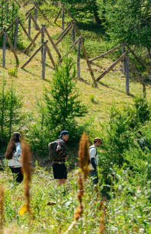 Trekking a Torino