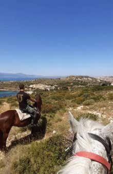 Horse Riding in Cagliari