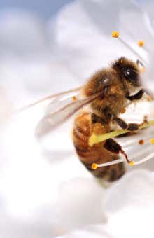 Spa e benessere a Vercelli