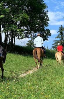 Tasting experiences in Langhe