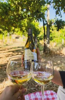 Picnic ai Castelli Romani