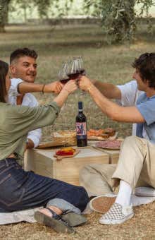 Picnic sul Lago di Garda