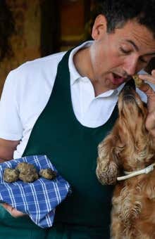 Caccia al tartufo ad Ascoli Piceno