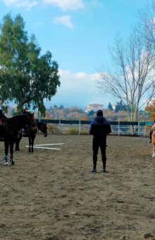 Lezioni di equitazione a Benevento