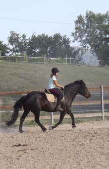 Lezioni di equitazione a Perugia