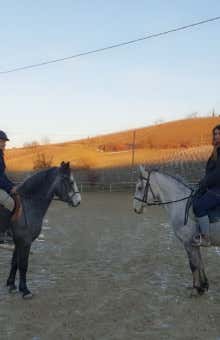 Lezioni di equitazione ad Asti
