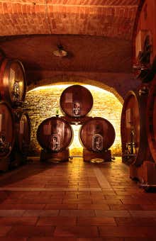 Pranzi e cene nelle Langhe