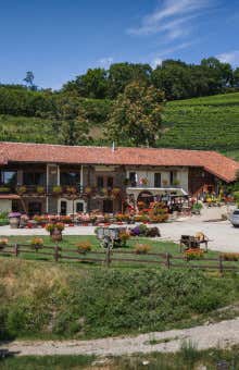 Pranzi e cene a Torino