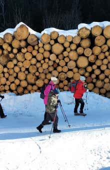 Experiential stays in Trento