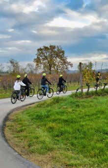 Experiential stays in Verona