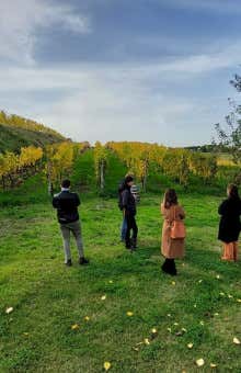 Pranzi e cene a Roma