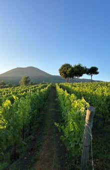 Degustazione vini sul Vesuvio