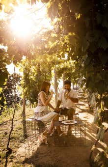 Picnic alle Cinque Terre