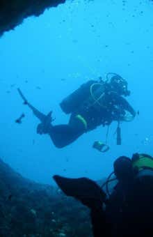 Immersioni subacquee ad Alghero