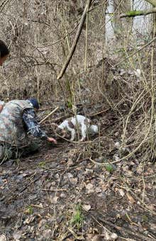 Caccia al tartufo a Bologna