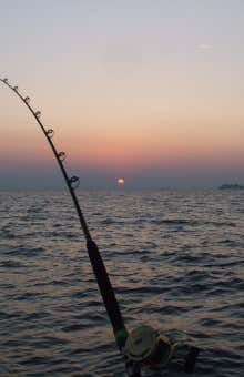 Sport fishing in Savona