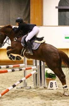 Lezioni di equitazione a Bergamo