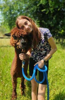 Activities with animals in Milan