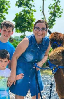 Walks with alpacas in Milan