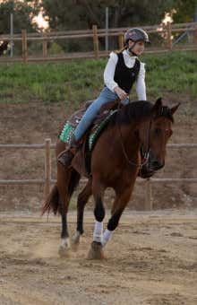 Lezioni di equitazione a Teramo