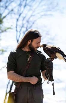 Falconeria a Frosinone