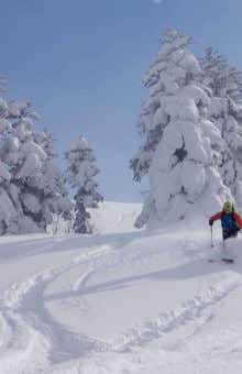 Freeride ad Alagna Valsesia