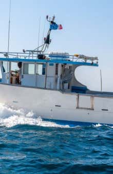 Pesca sportiva a Sorrento