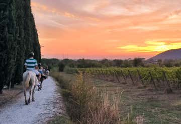 Passeggiata a cavallo con aperitivo in provincia di Pisa